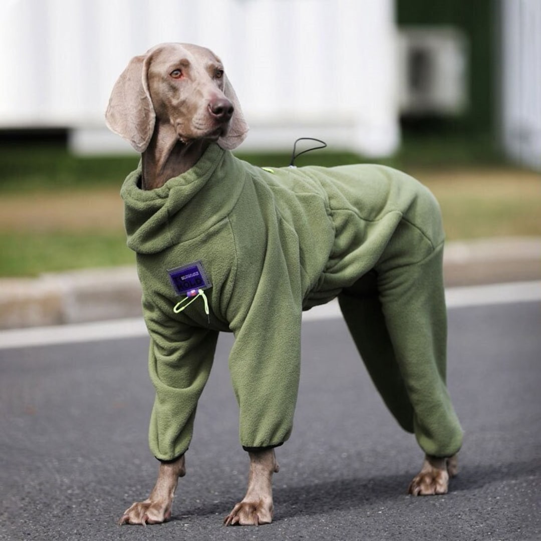 Dog Turtlenecks, Dog Winter Sweatshirts, Warm Dog Clothing, Large Dog