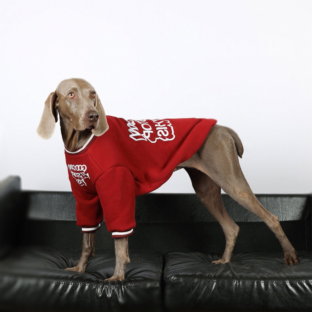 Dog Sports Sweatshirts, Dog Sweatshirts, Warm Dog Clothing, Large Dog