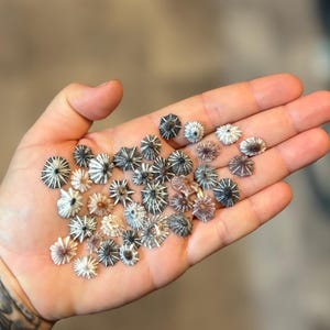 Puede incluir: Una taza de cerámica blanca con un asa negra y el texto "But First, Coffee" en negro, con una fuente de estilo manuscrito. La taza está sobre una superficie blanca.