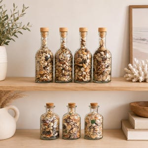 May include: Seven clear glass bottles filled with a variety of small, multi-colored seashells. Four tall, slender bottles are positioned on the top shelf, while three shorter, wider bottles are arranged on the bottom shelf. Each bottle has a cork stopper.