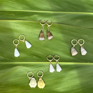 May include: A collection of gold hoop earrings with various seashell pendants. The earrings feature different shell shapes and colors, including white, brown, and yellow. The earrings are displayed on a vibrant green leaf.