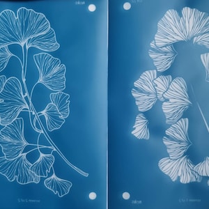 以下が含まれることがあります： 白いギンコの葉のデザインが施された青い紙2枚。葉は白で縁取られており、繊細で複雑なデザインです。