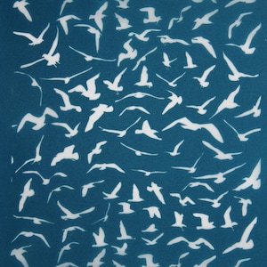 Op de afbeelding: Een teal-kleurige print met talrijke witte silhouetten van vliegende zeemeeuwen. De vogels worden in verschillende poses afgebeeld, wat een dynamische en luchtige compositie oplevert. Het woord "moiko" is zichtbaar.