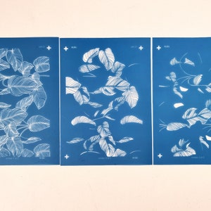 Puede incluir: Tres impresiones cianotipo azules con dibujos de hojas en líneas blancas. Las impresiones están etiquetadas "versión 1 de 3", "versión 2 de 3" y "versión 3 de 3".