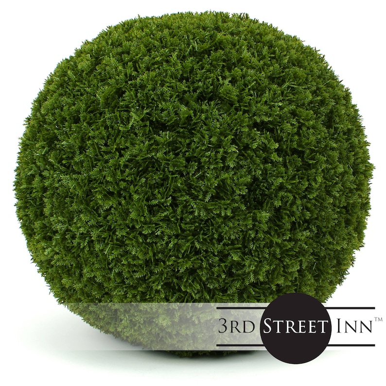 Extra Large 19 Cypress Topiary Ball Perfect for Etsy