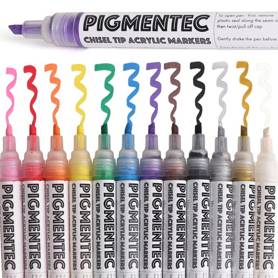 Acrylic Markers Set of 12 Acrylic Paint Pens Vibrant Art 