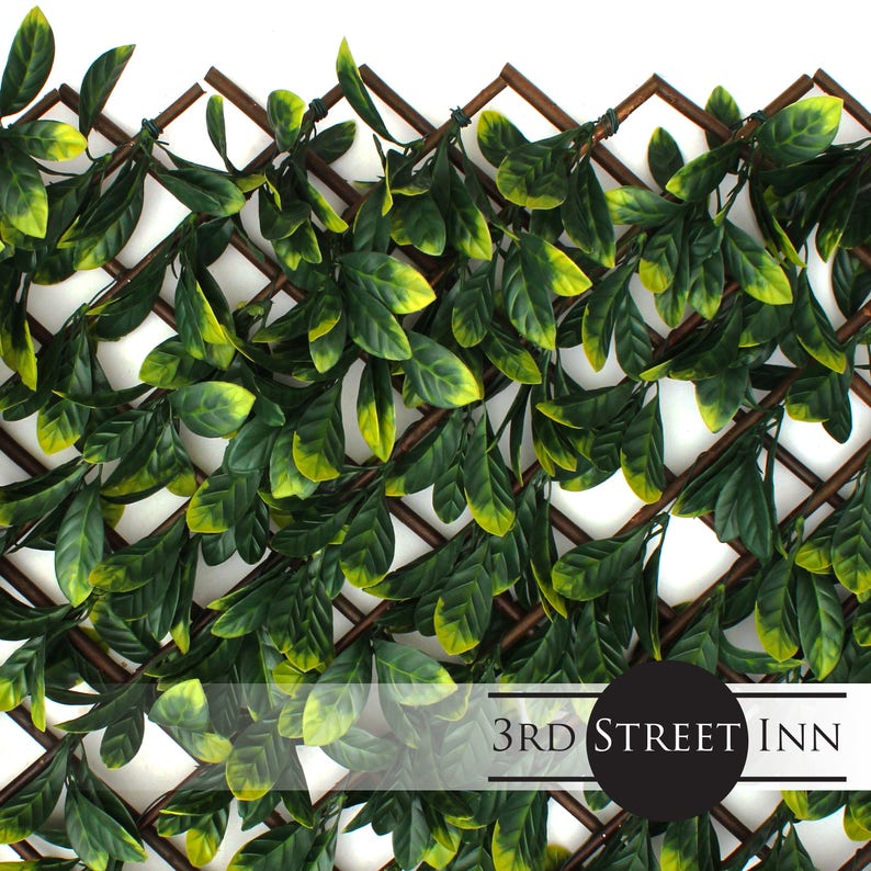 Laurel Leaf Trellis 4Pack Bamboo Greenery Panel Boxwood Etsy