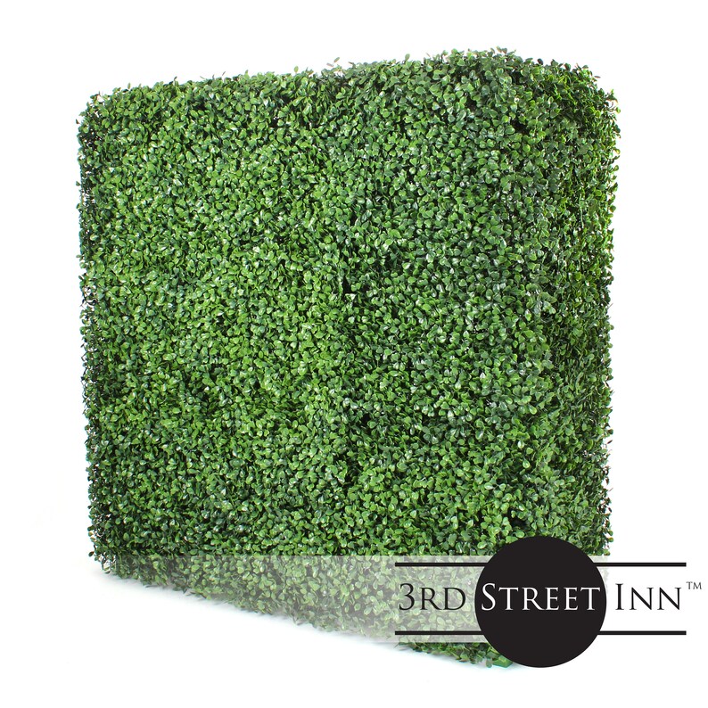 Square Boxwood Hedge Wall Outdoor Artificial Privacy Plant Great And Ivy Substitute Diy Divider