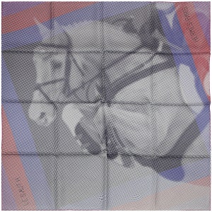 Hermes Scarf "Le Saut H" by Cyrille Diatkine 90cm Silk | Foulard Carre
