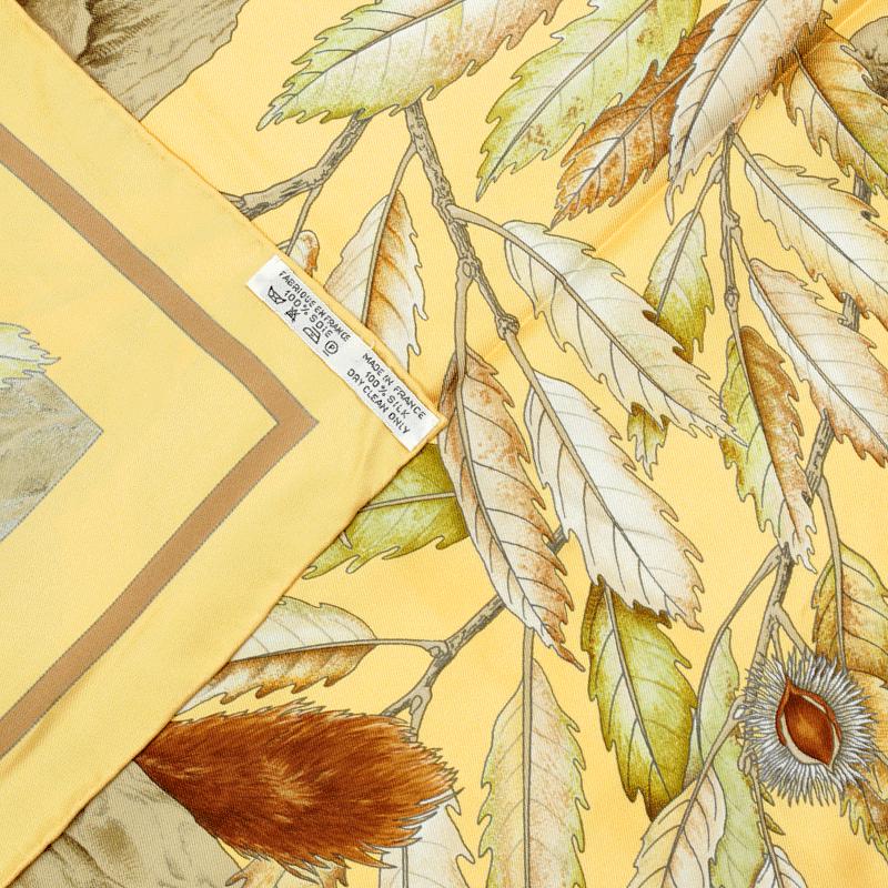 Hermes Scarf 