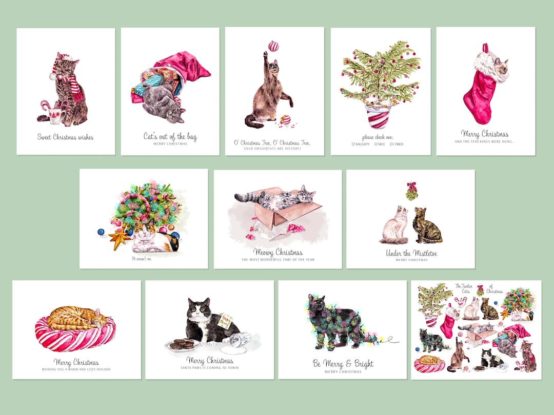 Funny Cats Christmas Card Variety Pack - Set of 12 - Etsy