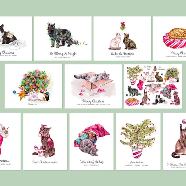 Funny Cat Christmas Card Variety of 12 Designs - Christmas Cards with Envelopes and Unique Cute Illustrations Black Tabby Calico Siamese