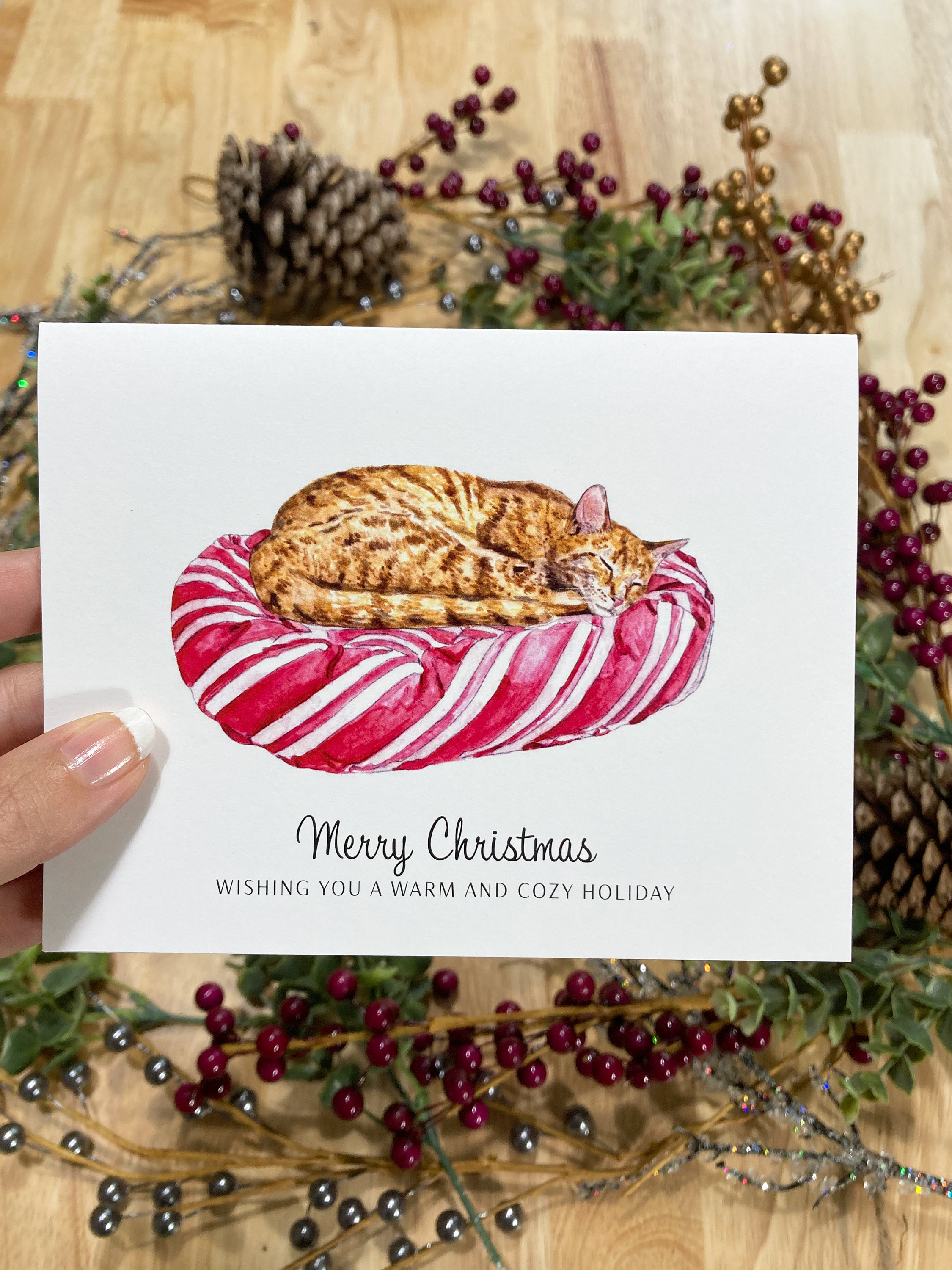 Funny Cats Christmas Card Variety Pack - Set of 12 - Etsy
