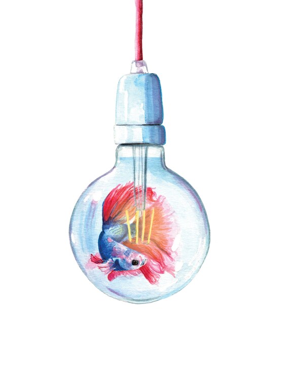 fighter fish in bulb