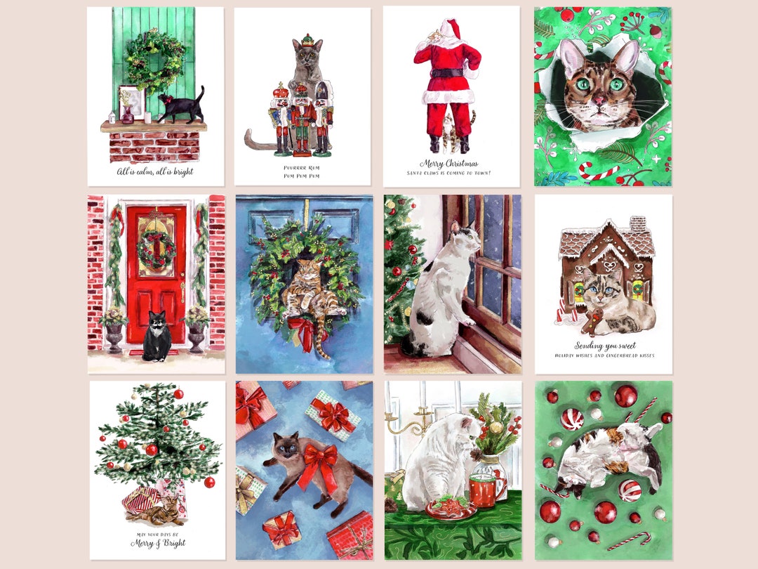 Funny Cat Christmas Card Set: 12 Unique Holiday Designs - Etsy