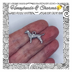 May include: Silver charm of a dog, a terrier breed, with a textured surface. The charm is hanging from a silver loop.