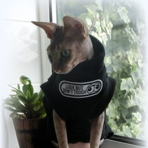 May include: A hairless Sphynx cat wearing a black hoodie with the text "LOOK BUT DON'T TOUCH" in white. The cat is sitting on a white surface near a window with greenery and a small potted plant.