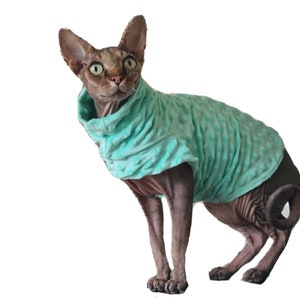 sizes SOFT, clothes for Sphynx cat  clothes for a cat, cat coat, top for a Sphynx cat - cat clothes, sphynx clothes,  HOTSPHYNX