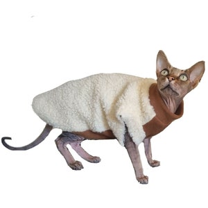 May include: A hairless cat wearing a white and brown fleece sweater. The cat is looking up and has a surprised expression.