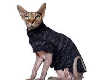 May include: A hairless cat wearing a black velvet sweater with a paisley pattern. The cat is sitting on a white background.