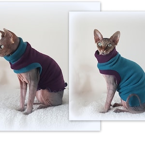 CHOOSE your colour! comfy top for a Sphynx cat clothes, cat sweater,  Katzenbekleidung, HOTSPHYNX