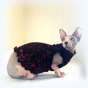 ELEGANTE maglione per gatti per un gattino Sphynx, vestiti per gatti Sphynx, HOtsphynx