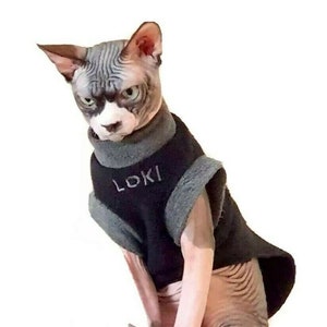 May include: A Sphynx cat wearing a black and gray sweater with the name "Loki" embroidered on the front. The cat is sitting on a gray surface.