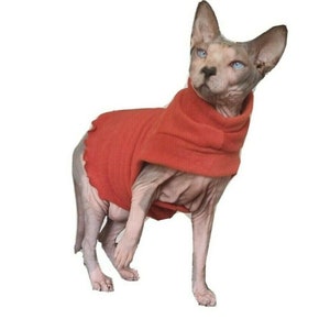 sizes sphynx specific RUST cat costume, stretchy top for a Sphynx cat, cat clothes, Katzenbekleidung sweater, Sphynx clothes