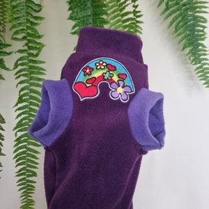 Rainbow Fleece Cat Jumper: Sphynx Cat Clothes, Adult M