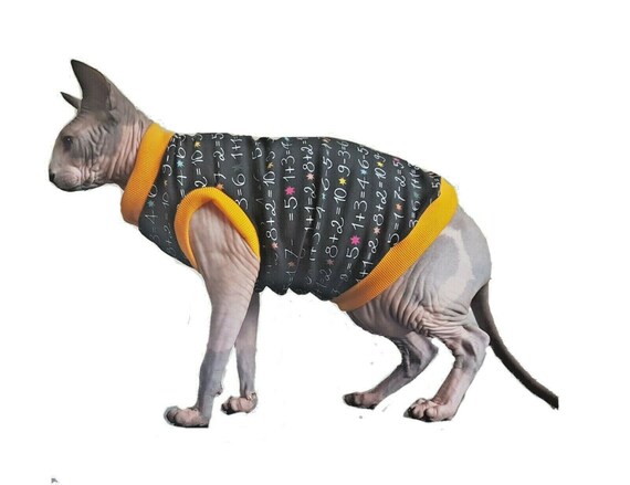 Numeros Vetements De Chat Vetements Sphynx Chat Gla Poilu Etsy