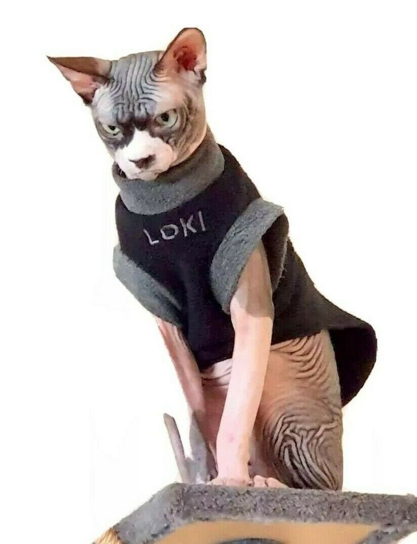 Designer Cat Sweater  LV Sweater for Sphynx, Designer Sweater