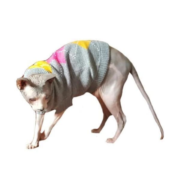 10 COLOURS Cat Jumper SALE Knitted Jumpers for Adult Sphynx Cats Sphynx Clothes Sale Etsy UK
