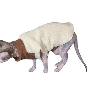 May include: A hairless cat wearing a white and brown fleece sweater. The cat is standing on a white background.