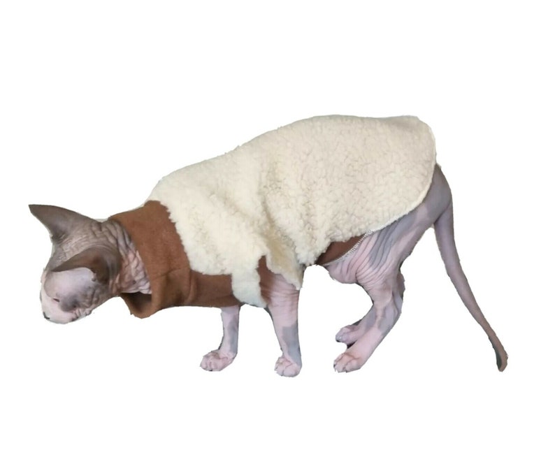May include: A hairless cat wearing a white and brown fleece sweater. The cat is standing on a white background.