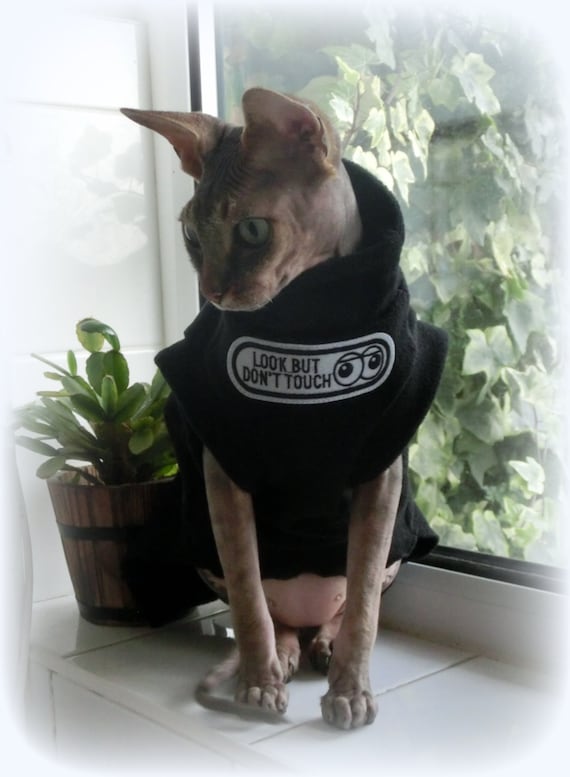 sizes DON'T TOUCH cat coat, top for a Sphynx cat - cat clothes, sphynx clothes, winter pet clothes, HOTSPHYNX