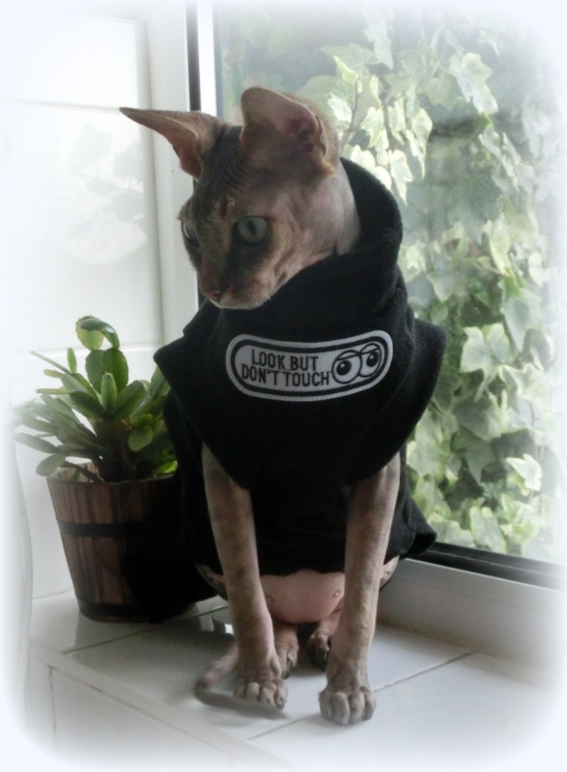 May include: A hairless Sphynx cat wearing a black hoodie with the text "LOOK BUT DON'T TOUCH" in white. The cat is sitting on a white surface near a window with greenery and a small potted plant.