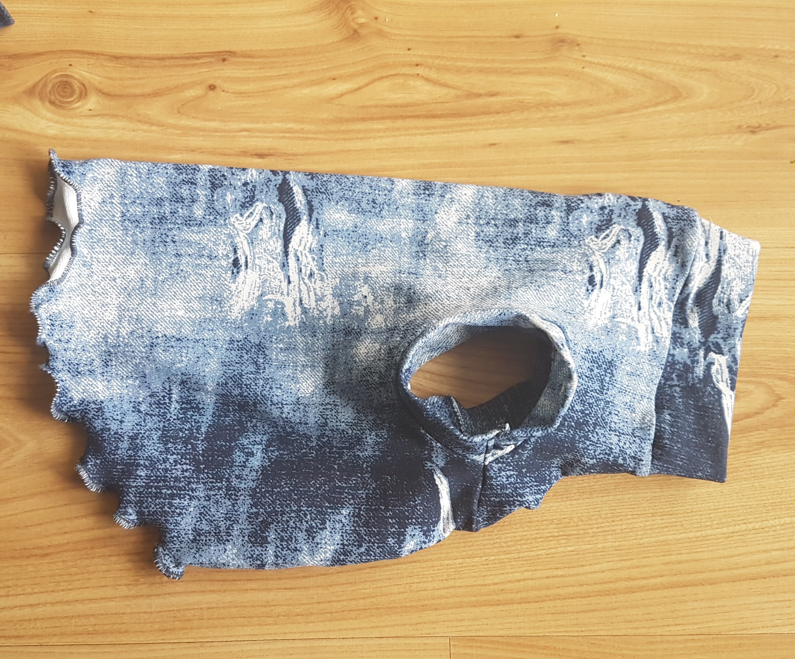 JEANS LOOK Ropa de gato sphynx ropa de mascota gato sin Etsy