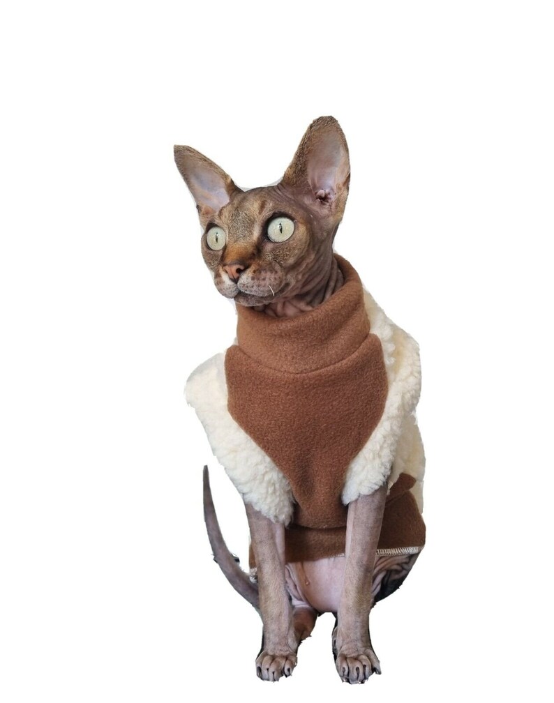 May include: A hairless cat wearing a brown and white fleece sweater. The cat is sitting on a white background.