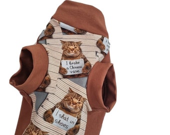 Ropa para gato Sphynx adulto L: Guilty Top, tejido elástico