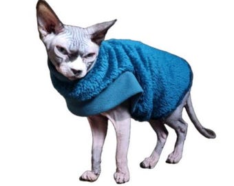 May include: A hairless cat wearing a teal blue fleece sweater. The cat is standing on a white background.