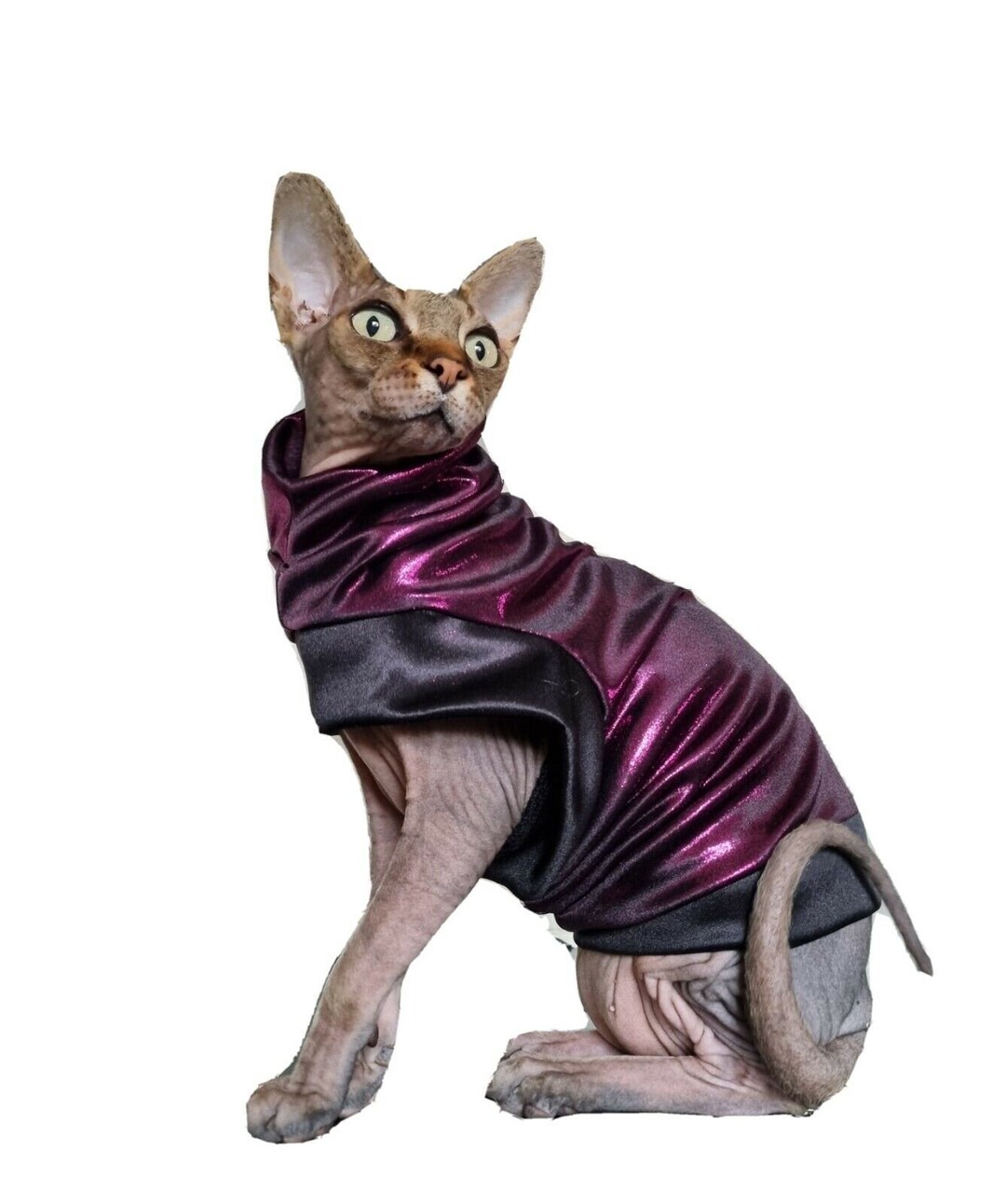 Sizes SHINY COMFY Sphynx Clothes for a Sphynx Cat, Sphynx Cat Clothes, HOTSPHYNX, Cat Outfit