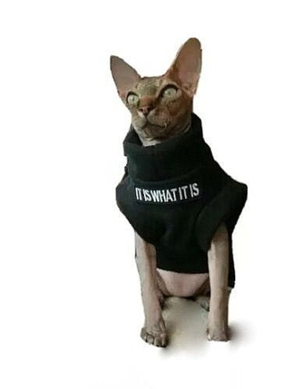 designer cat clothes