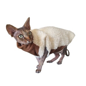 May include: A hairless cat wearing a white and brown fleece sweater. The cat is looking to the left of the frame.