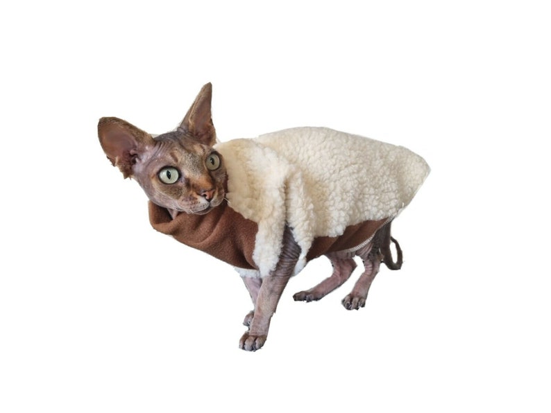 May include: A hairless cat wearing a white and brown fleece sweater. The cat is looking to the left of the frame.