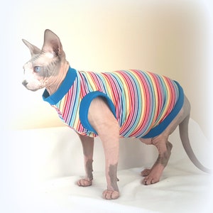 stretchy RAINBOW clothes for a Sphynx cat, Sphynx cat clothes, HOTSPHYNX, cat outfit, cat dress