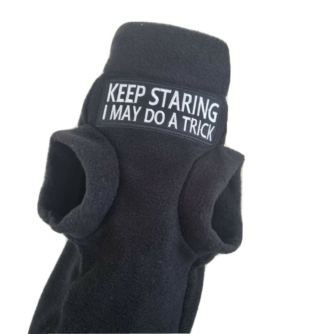 Sizes KEEP STARING Sphynx Clothes for a Sphynx Cat, Sphynx Cat Clothes