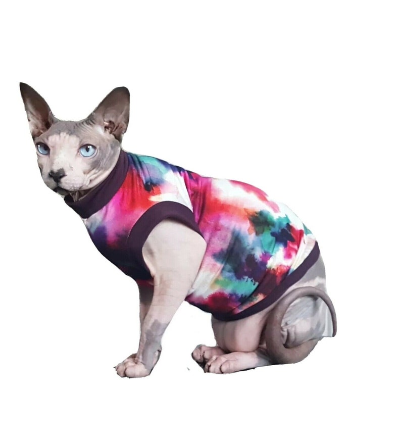 hairless cats in clothes