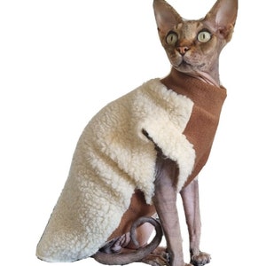 May include: A hairless cat wearing a brown and white fleece sweater. The sweater has a brown outer layer and a white fleece lining.