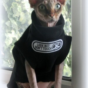 May include: A hairless Sphynx cat wearing a black fleece cape with the text "LOOK BUT DON'T TOUCH" on the front. The cat has large ears and green eyes, sitting in front of a window.