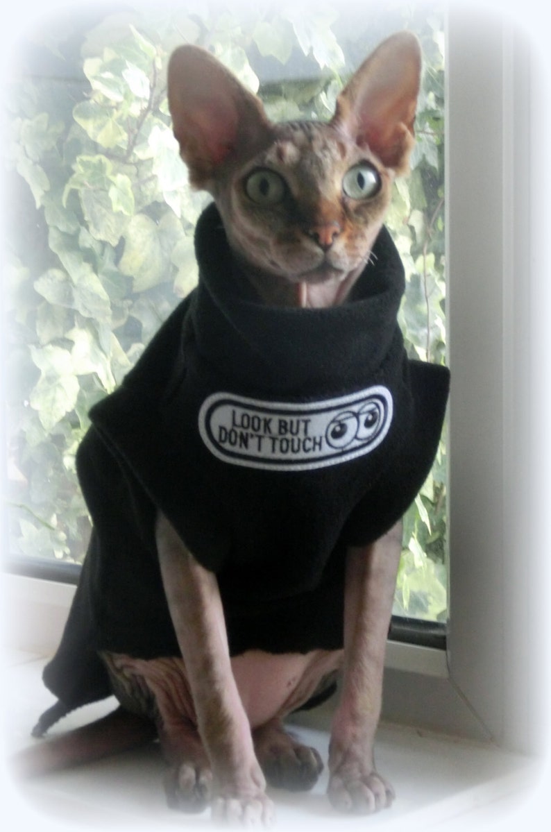 May include: A hairless Sphynx cat wearing a black fleece cape with the text "LOOK BUT DON'T TOUCH" on the front. The cat has large ears and green eyes, sitting in front of a window.